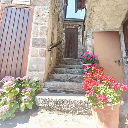 Apartment Nika San Ciprián