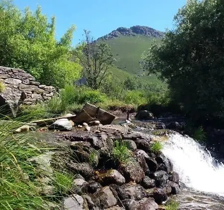 Nika * San Ciprián
